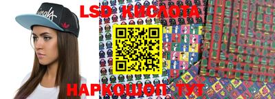 крисы Краснодар