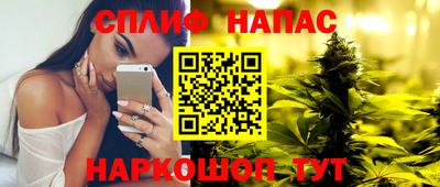 крисы Краснодар