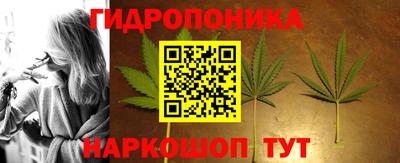 крисы Краснодар