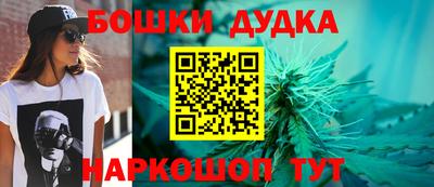 крисы Краснодар