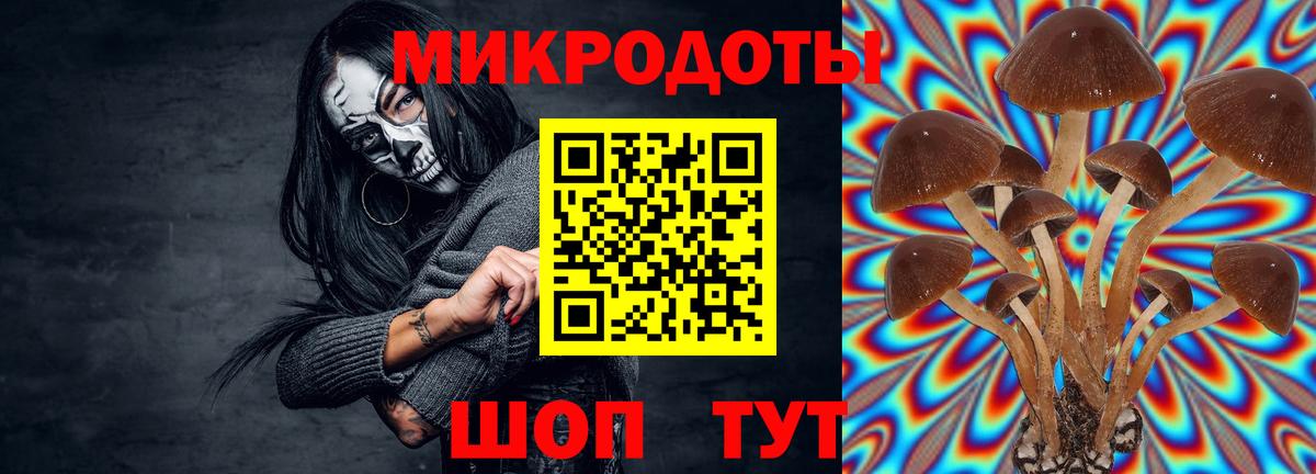 Галлюциногенные грибы GOLDEN TEACHER Елец