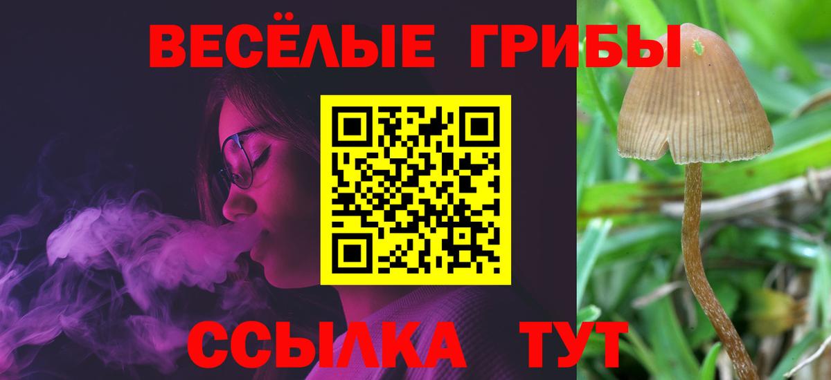 Елец  Галлюциногенные грибы мицелий  Вход с VPN 